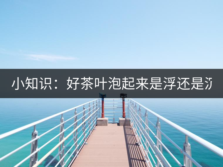 小知識:好茶葉泡起來是浮還是沉? 小知識:好茶葉泡起來是浮還是沉?