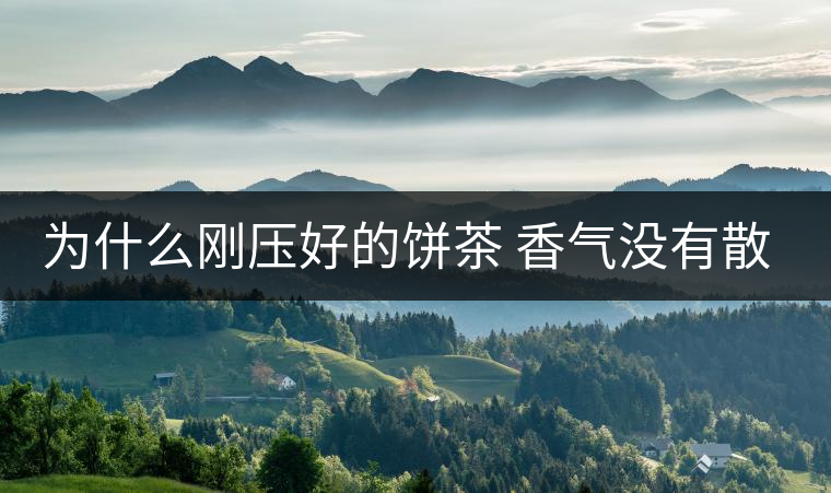 為什么剛壓好的餅茶 香氣沒有散茶好? 為什么剛壓好的餅茶 香氣沒有散茶好?