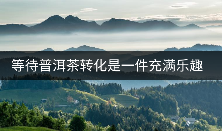 等待普洱茶轉化是一件充滿樂趣的事 等待普洱茶轉化是一件充滿樂趣的事