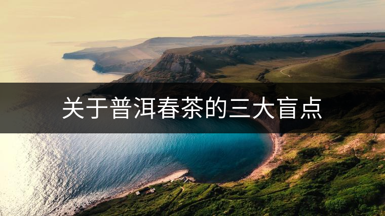 關于普洱春茶的三大盲點 關于普洱春茶的三大盲點