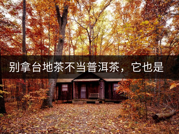 別拿臺地茶不當普洱茶,它也是大葉種喬木 別拿臺地茶不當普洱茶,它也是大葉種喬木