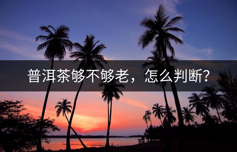 普洱茶夠不夠老,怎么判斷? 普洱茶夠不夠老,怎么判斷?