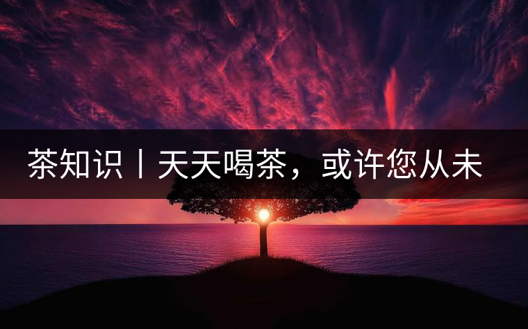 茶知識(shí)丨天天喝茶，或許您從未注意過(guò)茶樹花