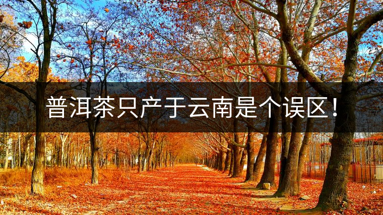 普洱茶只產于云南是個誤區！