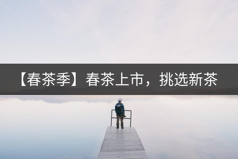 【春茶季】春茶上市,挑選新茶有講究 【春茶季】春茶上市,挑選新茶有講究