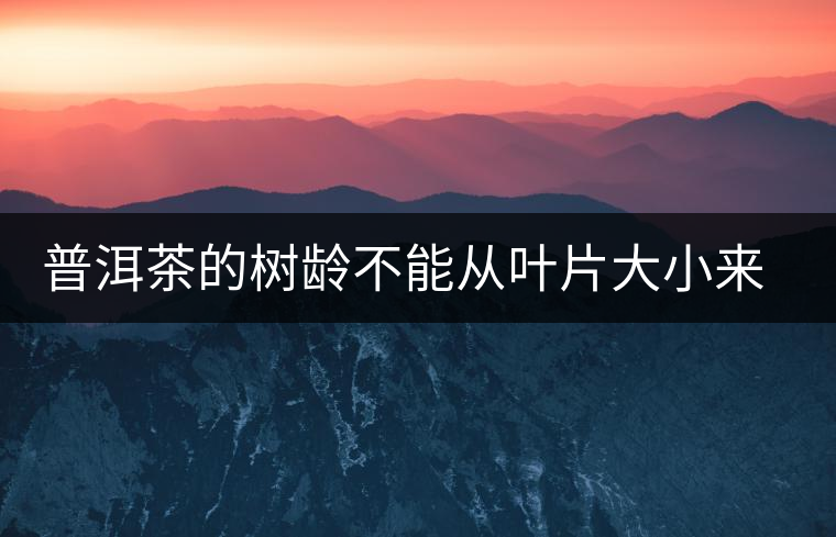 普洱茶的樹齡不能從葉片大小來(lái)判斷 普洱茶的樹齡不能從葉片大小來(lái)判斷