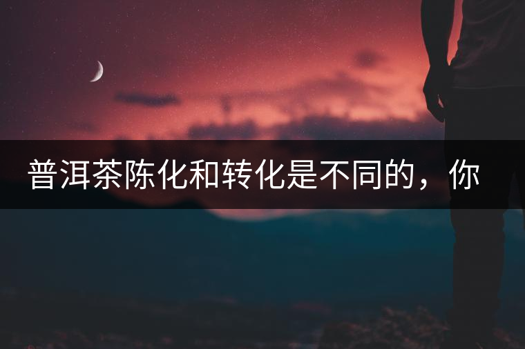 普洱茶陳化和轉化是不同的,你造嗎? 普洱茶陳化和轉化是不同的,你造嗎?