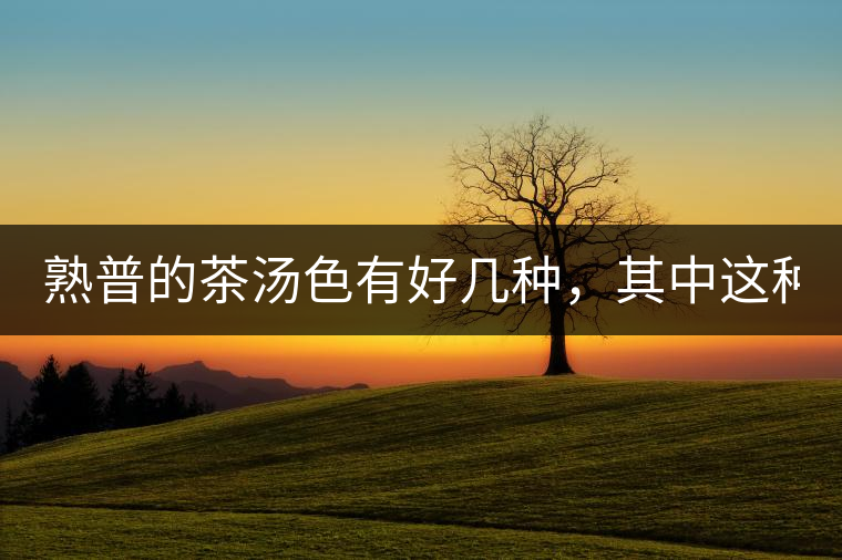 熟普的茶湯色有好幾種,其中這種不建議喝! 熟普的茶湯色有好幾種,其中這種不建議喝!