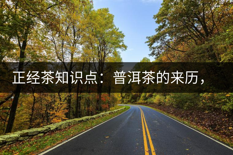 正經茶知識點：普洱茶的來歷，保證你不知道！