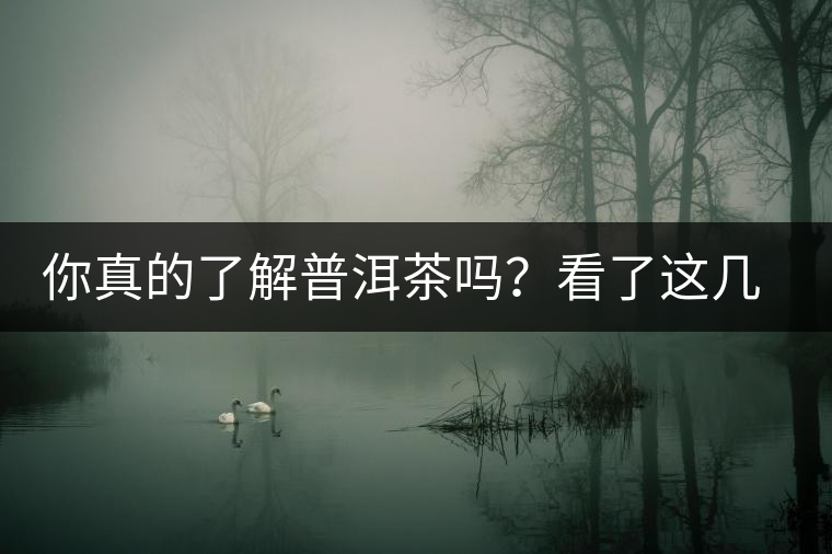 你真的了解普洱茶嗎？看了這幾個問題……