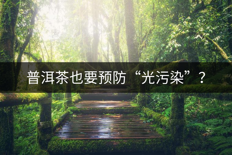 普洱茶也要預(yù)防“光污染”? 普洱茶也要預(yù)防“光污染”?