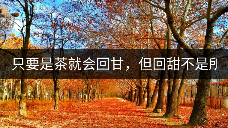 只要是茶就會回甘,但回甜不是所有茶都有! 只要是茶就會回甘,但回甜不是所有茶都有!