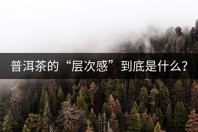 普洱茶的“層次感”到底是什么? 普洱茶的“層次感”到底是什么?