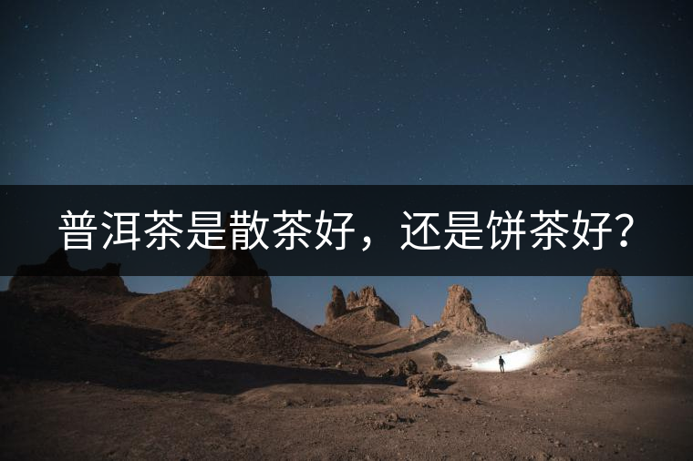 普洱茶是散茶好,還是餅茶好? 普洱茶是散茶好,還是餅茶好?