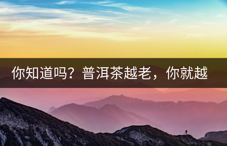 你知道嗎?普洱茶越老,你就越年輕 你知道嗎?普洱茶越老,你就越年輕