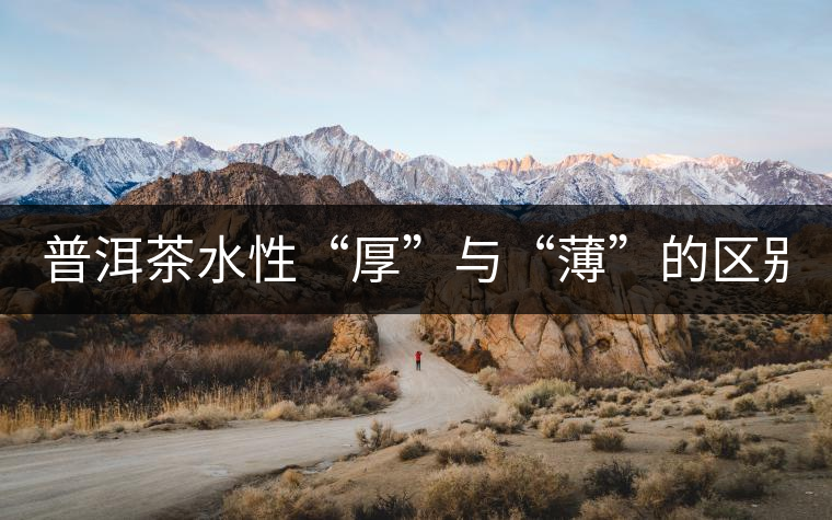 普洱茶水性“厚”與“薄”的區(qū)別！