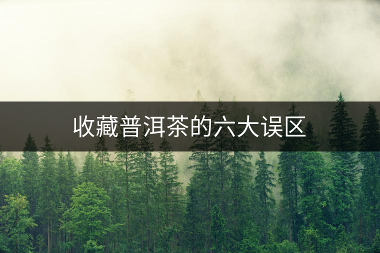 收藏普洱茶的六大誤區