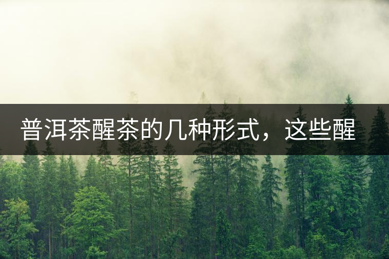 普洱茶醒茶的幾種形式，這些醒茶方法你都會了嗎？