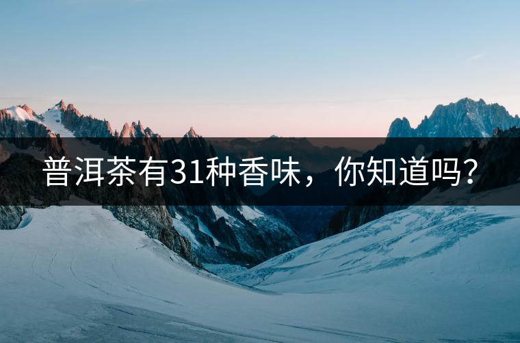 普洱茶有31種香味,你知道嗎? 普洱茶有31種香味,你知道嗎?