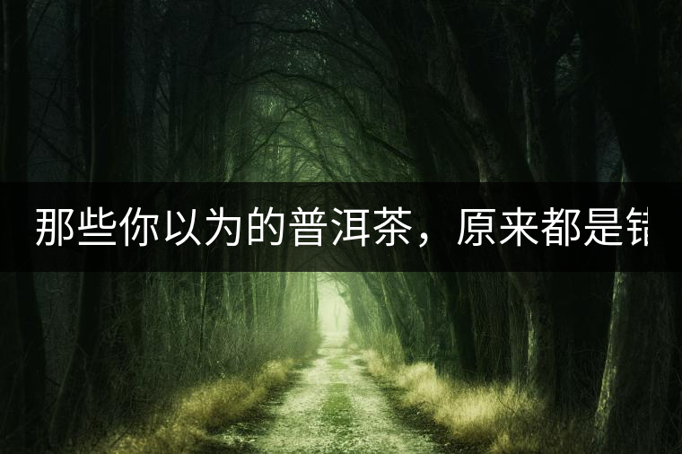 那些你以為的普洱茶，原來都是錯的！