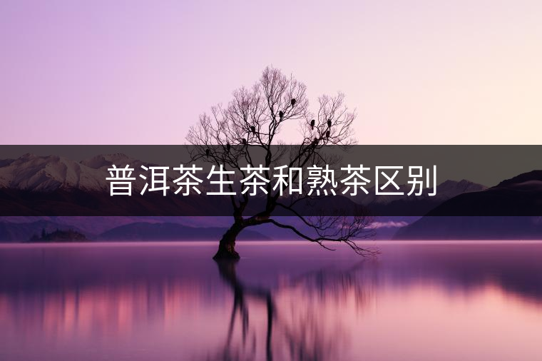 普洱茶生茶和熟茶區別
