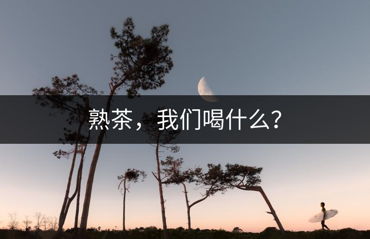 熟茶,我們喝什么? 熟茶,我們喝什么?