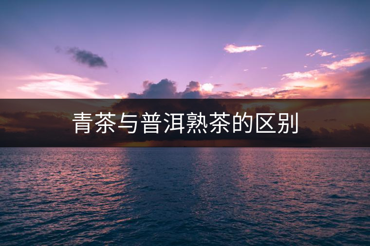 青茶與普洱熟茶的區別