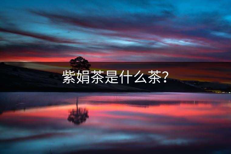 紫娟茶是什么茶？