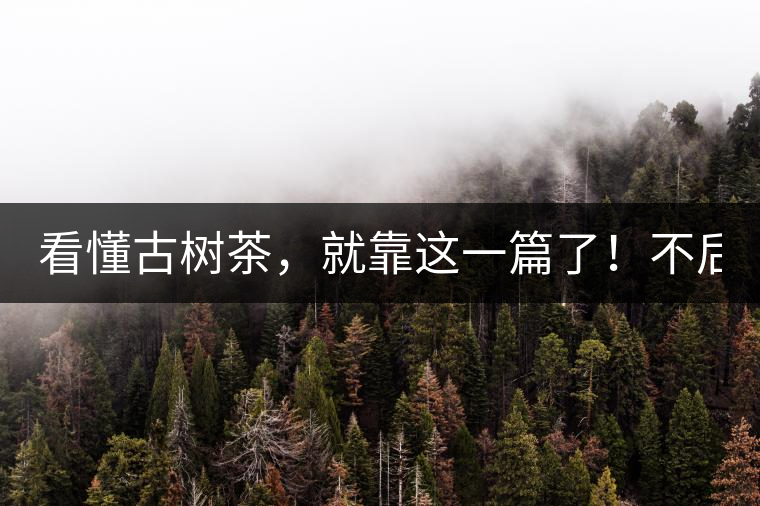 看懂古樹茶,就靠這一篇了!不后悔! 看懂古樹茶,就靠這一篇了!不后悔!