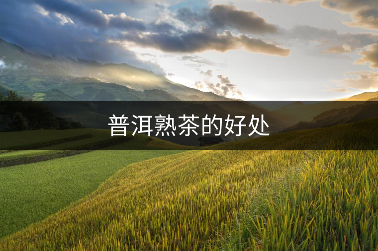 普洱熟茶的好處 普洱熟茶的好處