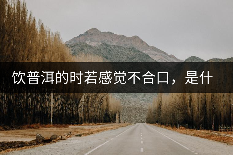飲普洱的時若感覺不合口，是什么原呢？