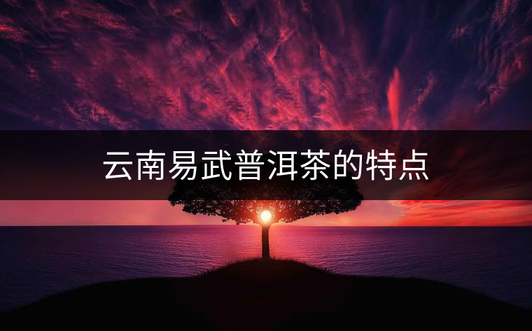 云南易武普洱茶的特點 云南易武普洱茶的特點