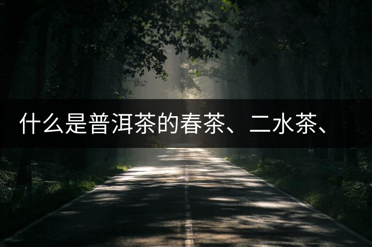 什么是普洱茶的春茶、二水茶、三水茶、四水茶 什么是普洱茶的春茶、二水茶、三水茶、四水茶