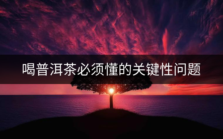 喝普洱茶必須懂的關鍵性問題