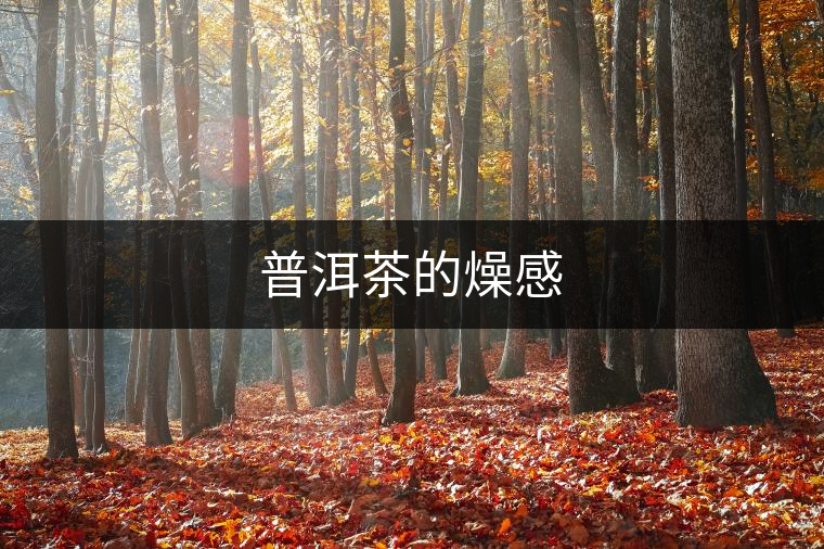 普洱茶的燥感
