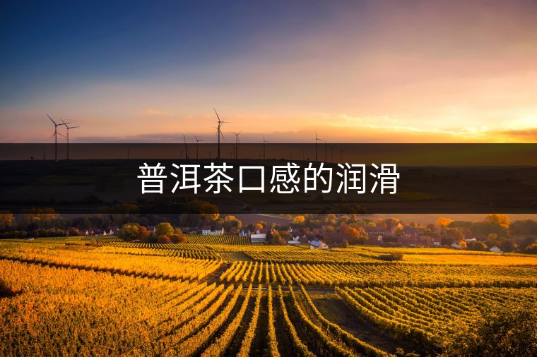 普洱茶口感的潤滑 普洱茶口感的潤滑