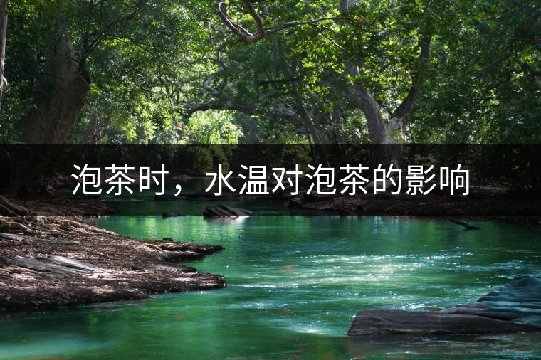泡茶時,水溫對泡茶的影響 泡茶時,水溫對泡茶的影響