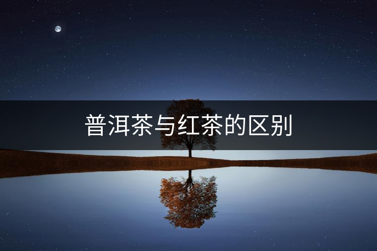 普洱茶與紅茶的區別