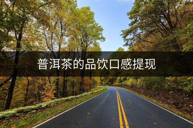 普洱茶的品飲口感提現 普洱茶的品飲口感提現
