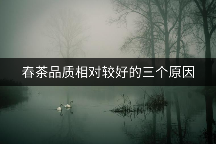 春茶品質相對較好的三個原因 春茶品質相對較好的三個原因