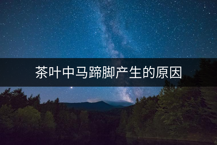 茶葉中馬蹄腳產生的原因 茶葉中馬蹄腳產生的原因