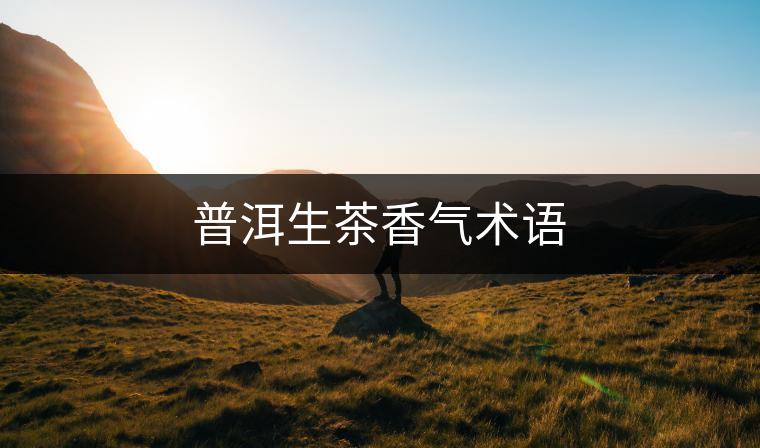 普洱生茶香氣術語 普洱生茶香氣術語