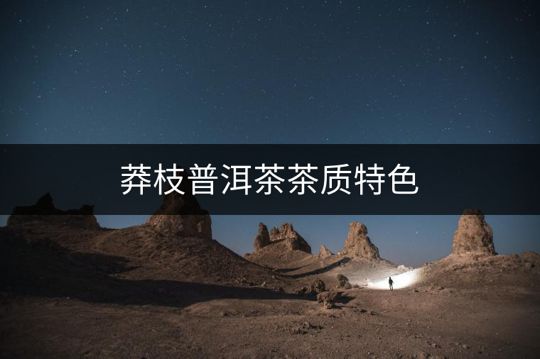 莽枝普洱茶茶質特色 莽枝普洱茶茶質特色