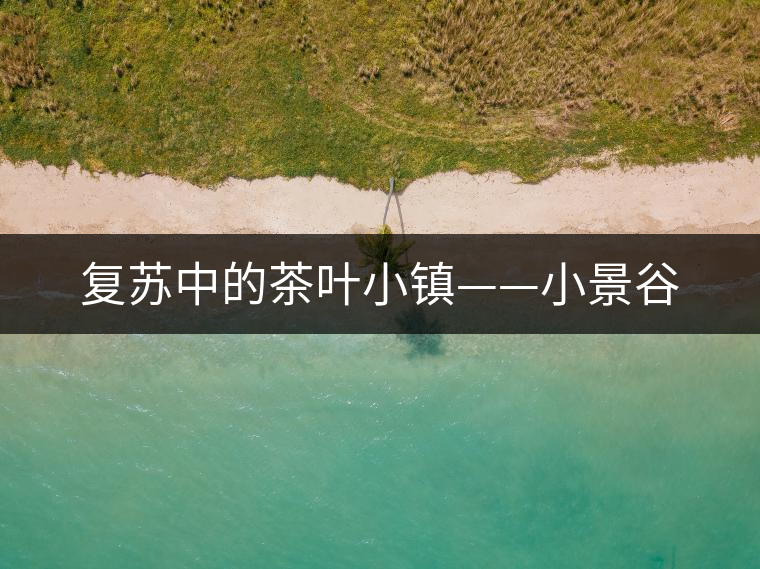 復蘇中的茶葉小鎮——小景谷