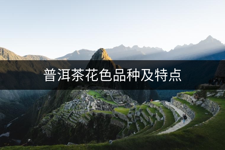 普洱茶花色品種及特點 普洱茶花色品種及特點