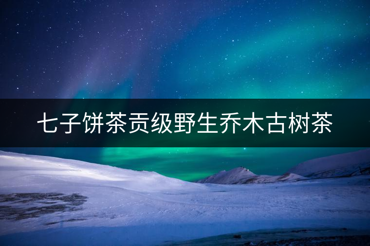 七子餅茶貢級野生喬木古樹茶