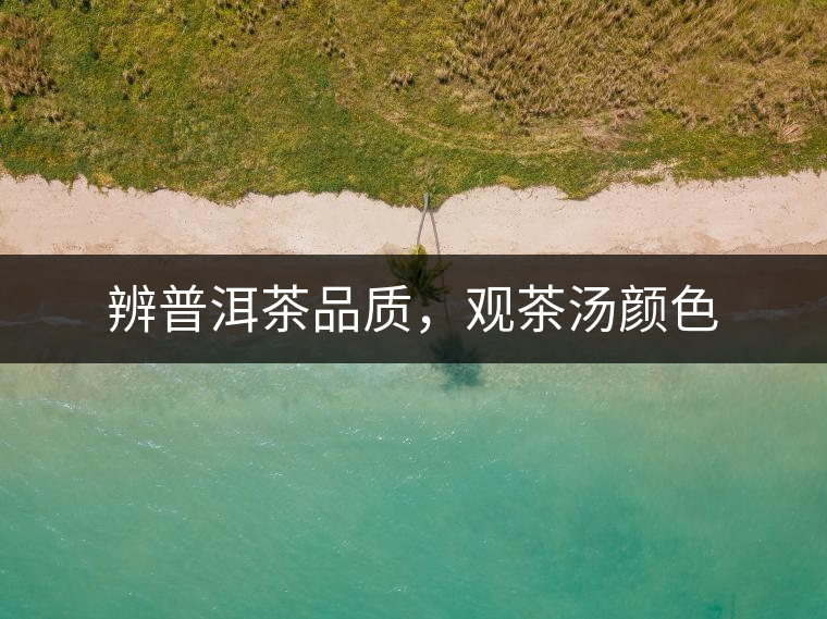 辨普洱茶品質，觀茶湯顏色