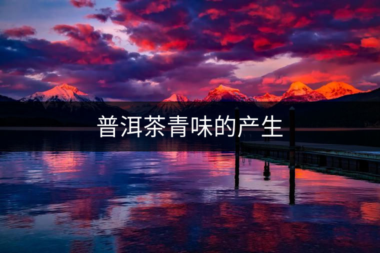 普洱茶青味的產生 普洱茶青味的產生