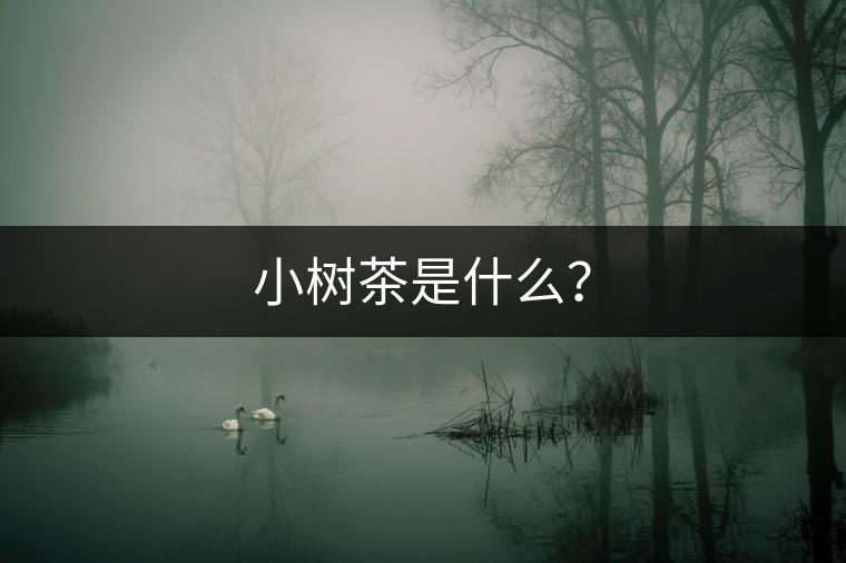 小樹茶是什么？