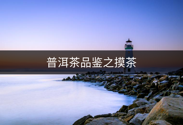 普洱茶品鑒之摸茶 普洱茶品鑒之摸茶